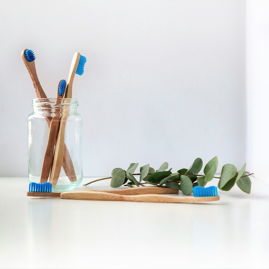Bamboo Toothbrush Set